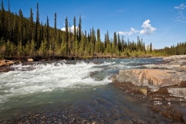 Bighorn Canyon River