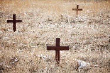 Red crosses in the cemetery 