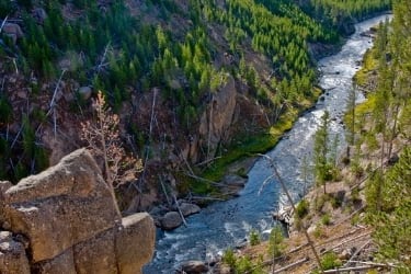 Yellowstone River