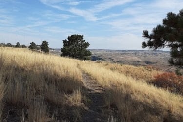 Four Dances hiking trail