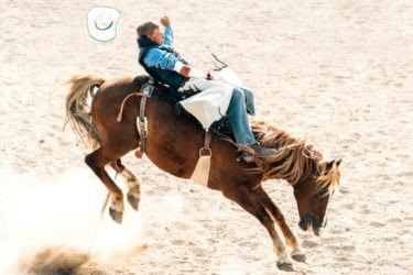 person riding a horse