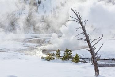 Yellowstone during winter