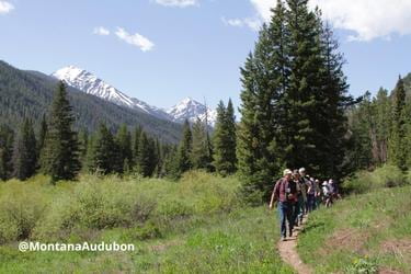 People walking on the hiking trail