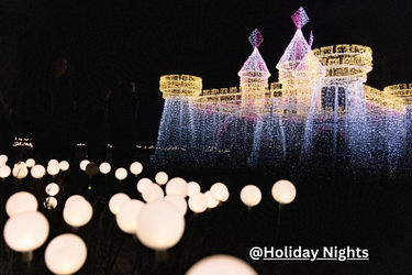Holiday Nights Light Castle