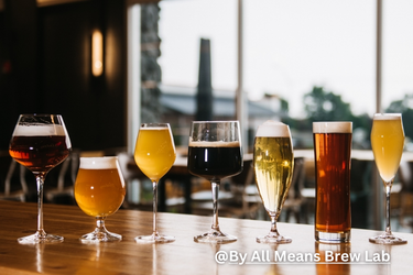 Beer in different glasses - By All Means Brew Lab