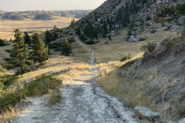 looking down at a trail