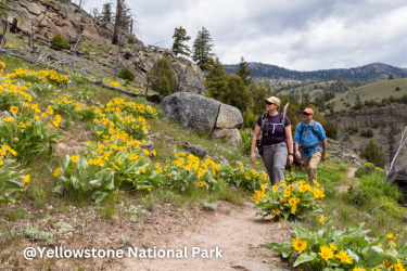 Hiking at Yellowstone National Park
