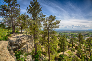 The Rimrocks View