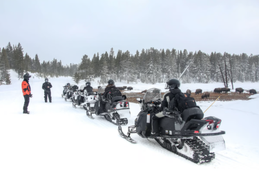 Yellowstone Vacation Snowmobile Tours