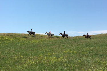 Little Bighorn Tours