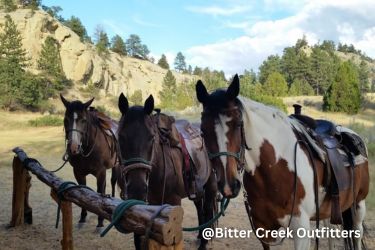 Bitter Creek Outfitters